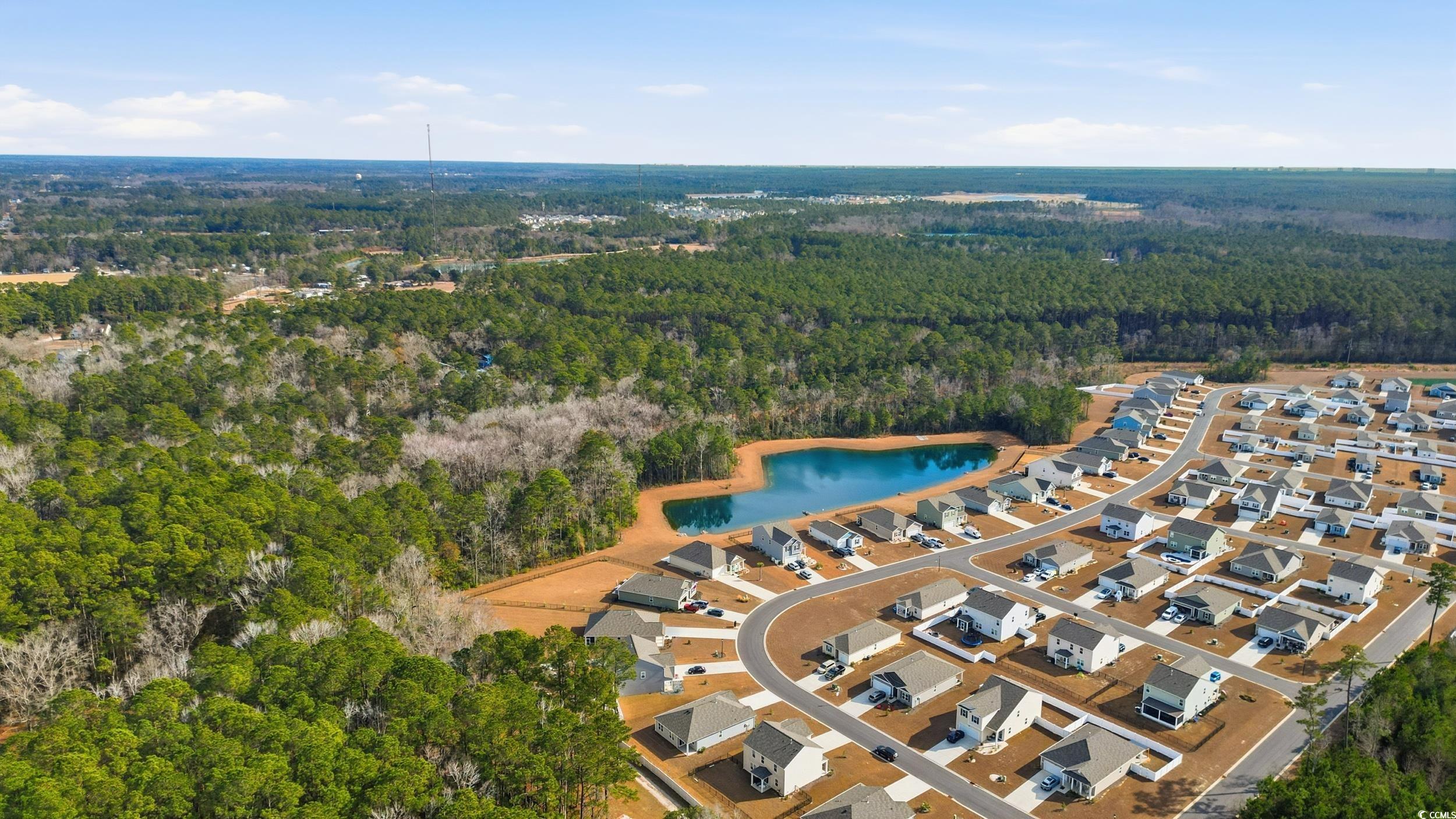 270 Columbus Street Conway, SC 29526 - Photo 38 of 38 Aerial overview of property's location featuring a large body of water and a heavily wooded area