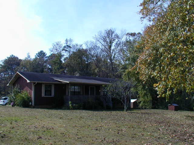 Primary Photo