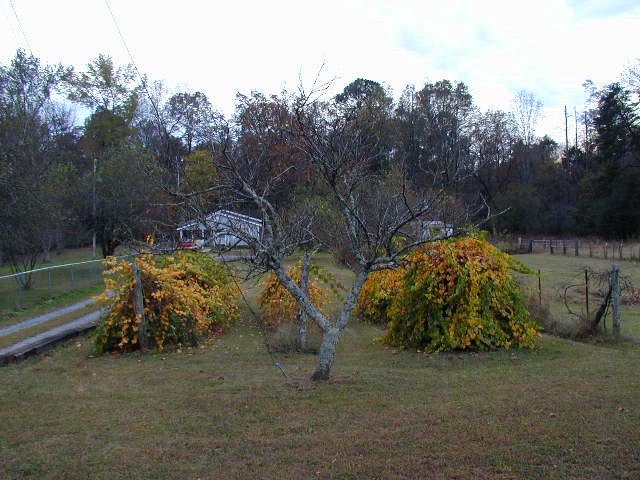 11319 Thatch Road Harrison, TN 37341 - Photo 9 of 9 Additional Photo