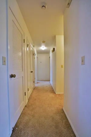 a view of a backyard with a garden and trees