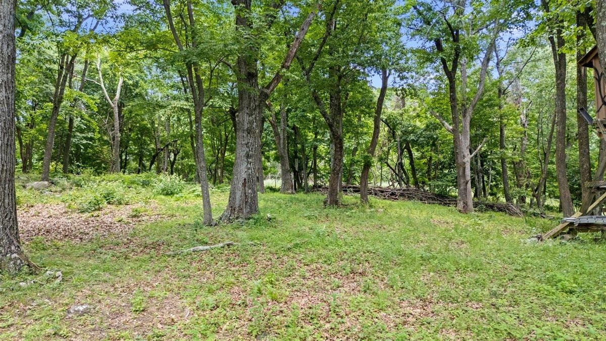 Lot 19-20 Hidden Hill Road Stanley, VA 22851 - Photo 14 of 20