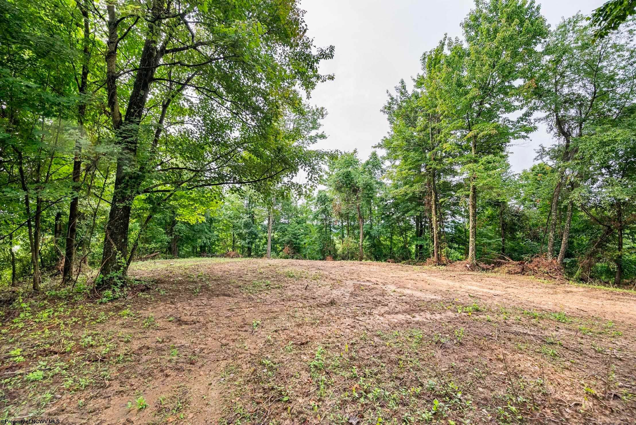 Lot 5 Burnt Cabin Road Fairmont, WV 26554 - Photo 13 of 24 Gallery Image 13
