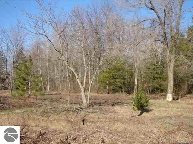 1938 South Hale Road Standish, MI 48658 - Photo 1 of 1 1761706.JPG