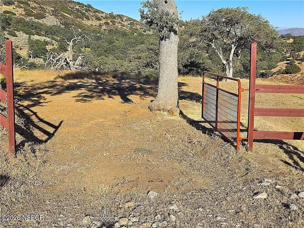 a view of a yard with an empty space