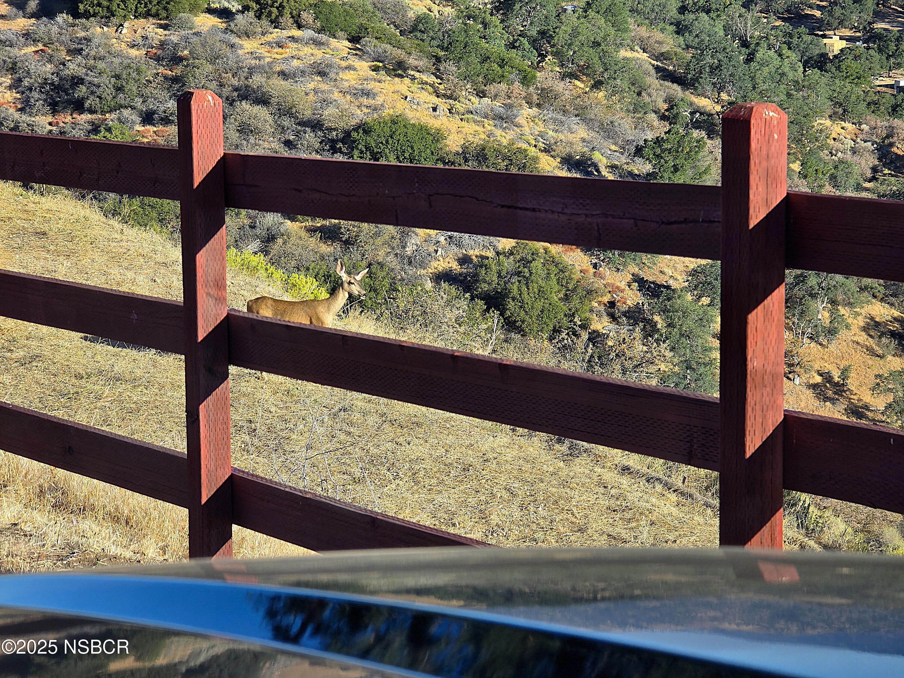 0 Zurich Drive Tehachapi, CA 93561 - Photo 2 of 52 But they seem to have the 'Right of Way'