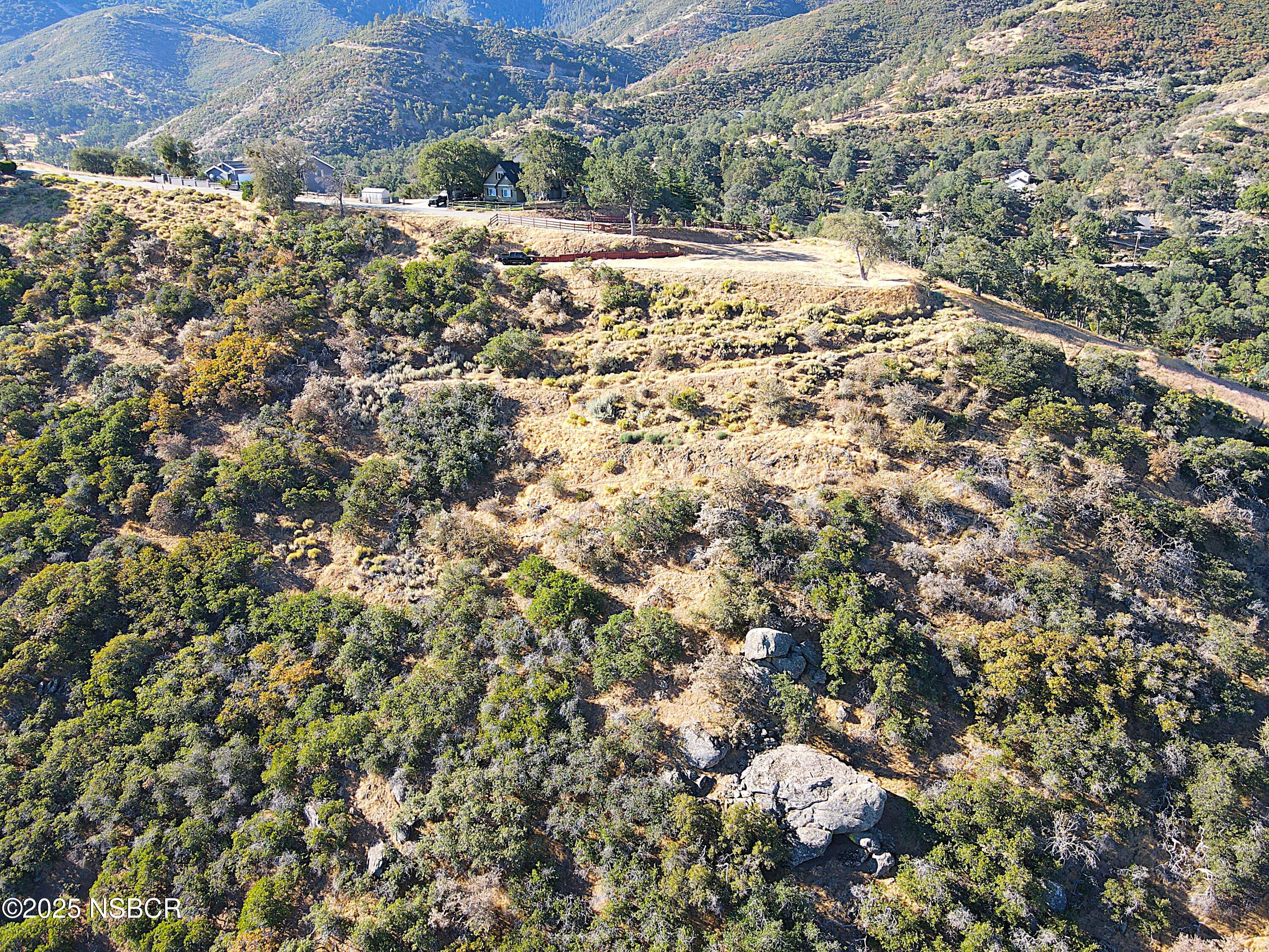 0 Zurich Drive Tehachapi, CA 93561 - Photo 36 of 52 a view of a yard with a tree
