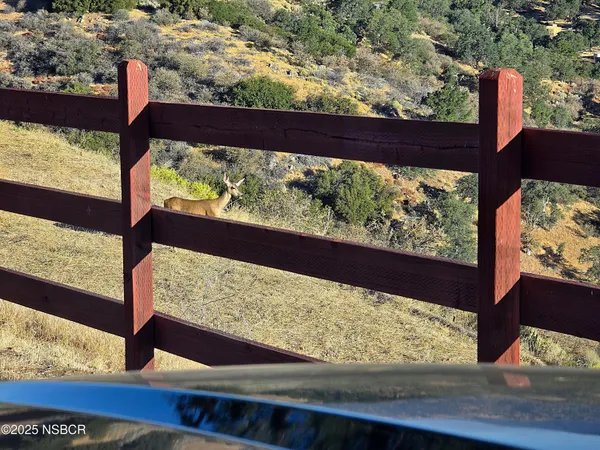 a view of a small yard with wooden fence