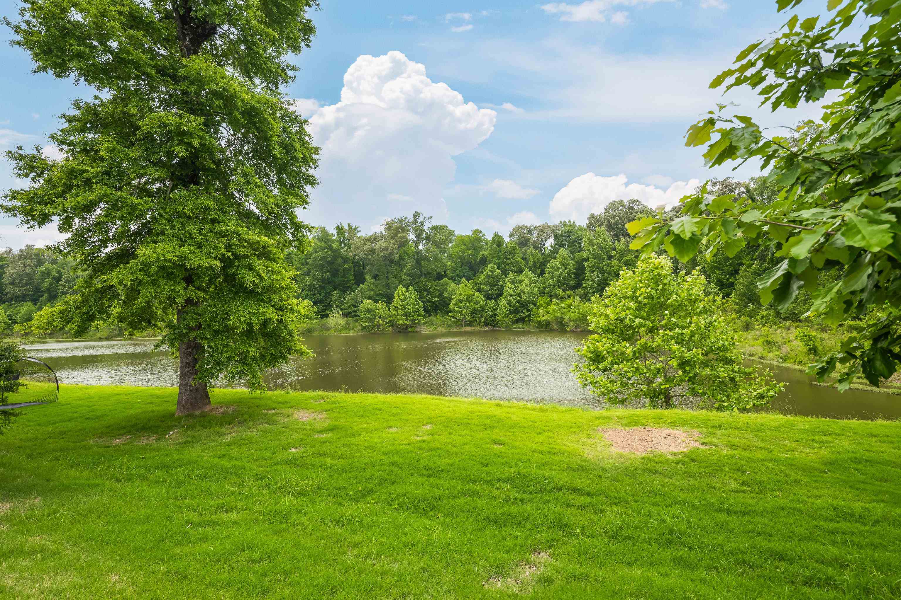 9110 Baynard Loop North Germantown, TN 38139 - Photo 36 of 40 a view of a lake view