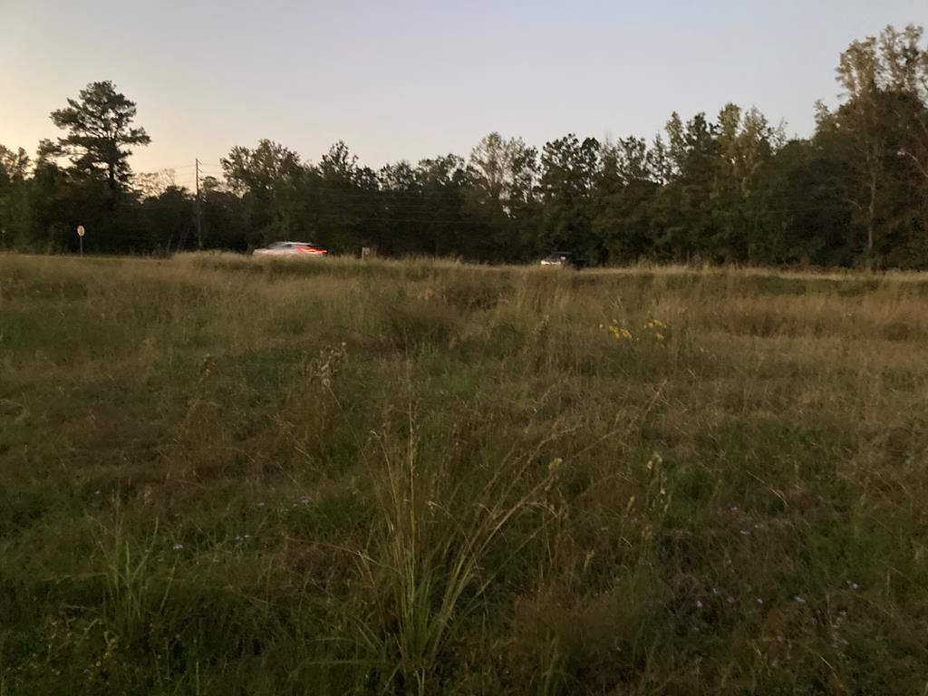 0 Robishaw Road Picayune, MS 39466 - Photo 1 of 1 Main View