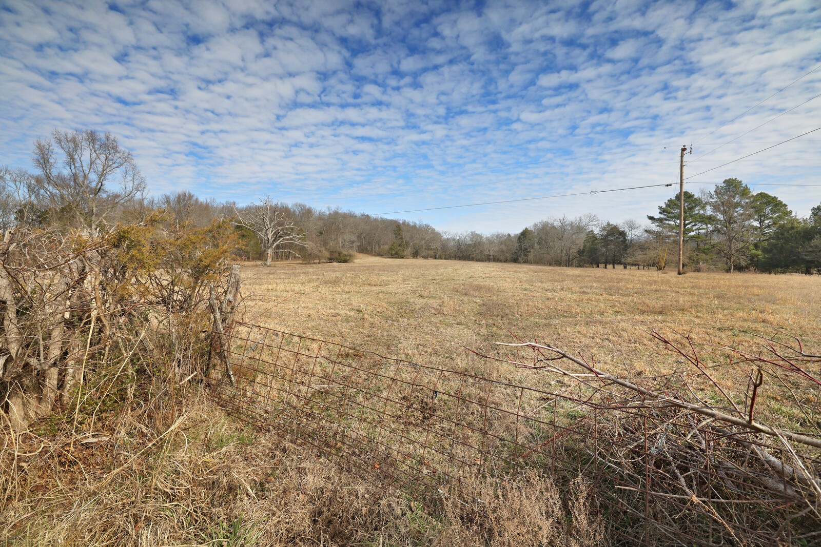 2100 Woods Ferry Road Lebanon, TN 37087 - Photo 4 of 20