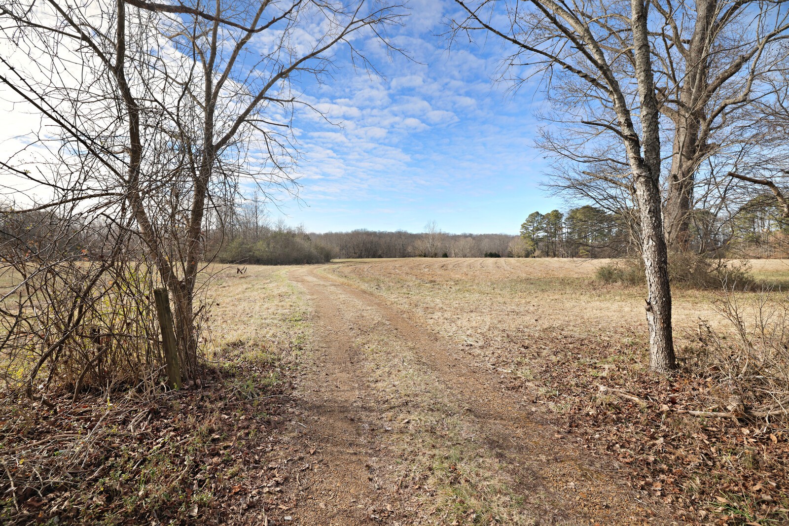 2100 Woods Ferry Road Lebanon, TN 37087 - Photo 6 of 20