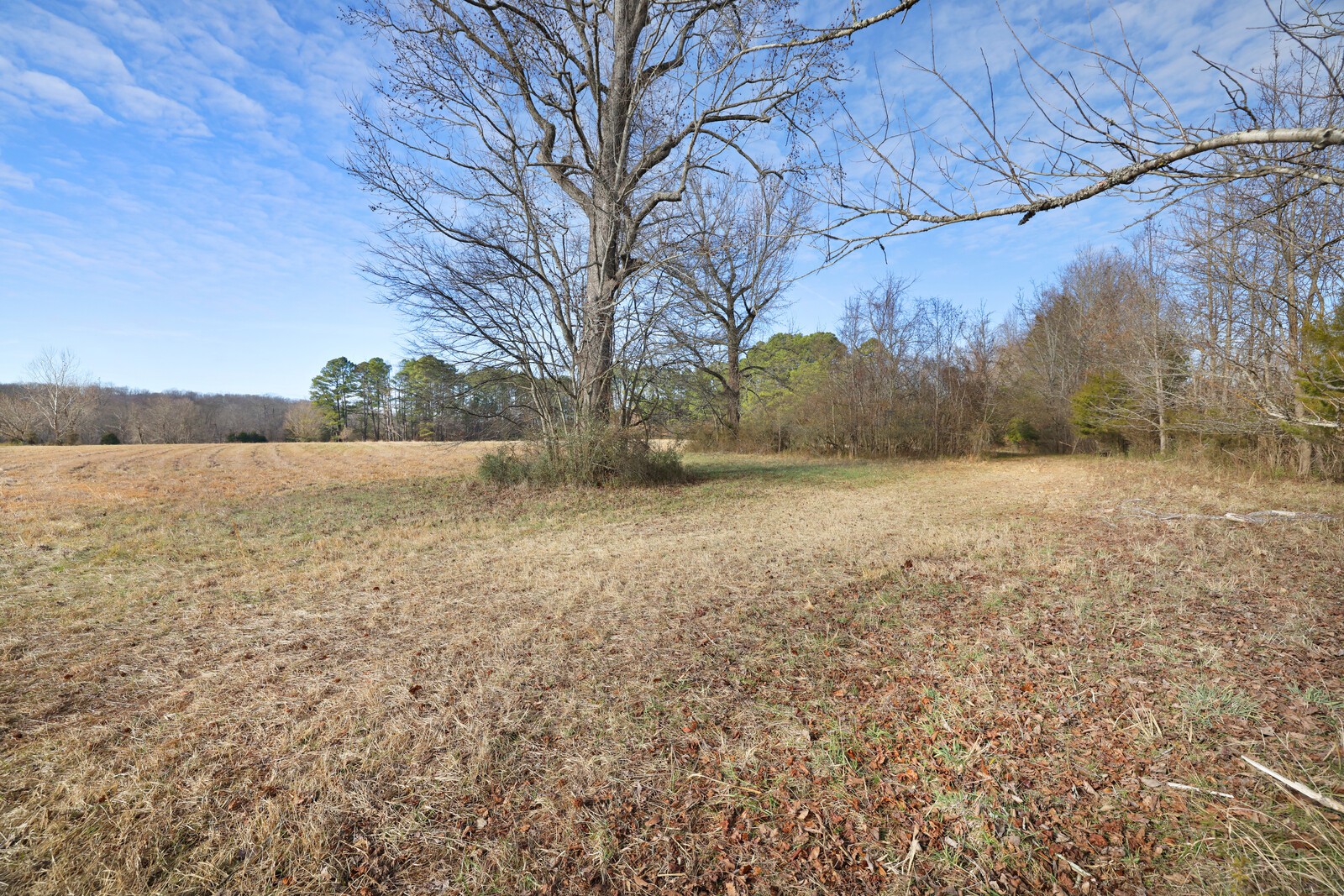 2100 Woods Ferry Road Lebanon, TN 37087 - Photo 8 of 20