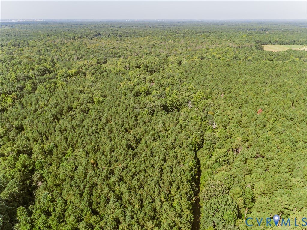 0 Barnetts Road Providence Forge, VA 23140 - Photo 29 of 37 Expansive wooded acreage featuring mature trees an