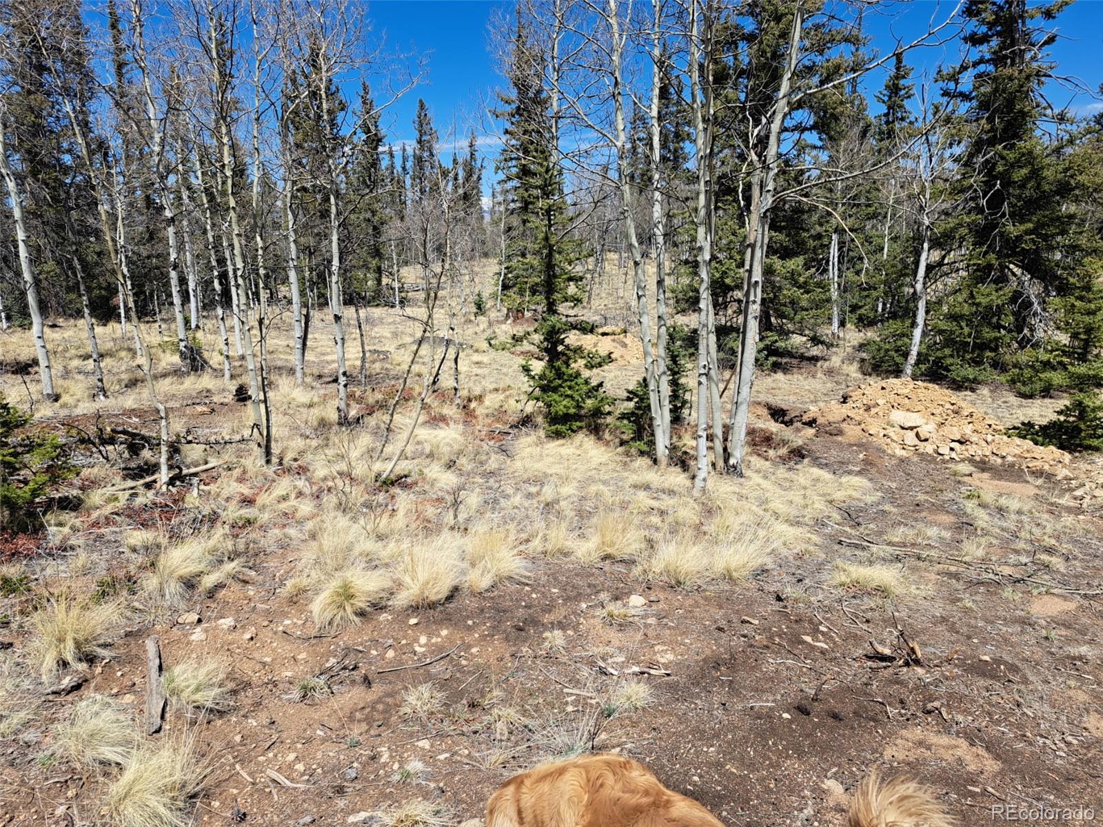 730 Tepee Trail Como, CO 80456 - Photo 18 of 29
