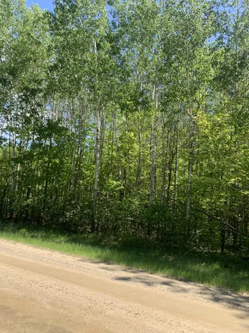 $34,900 | Tbd 63rd Avenue Northwest, Walker, MN 56484