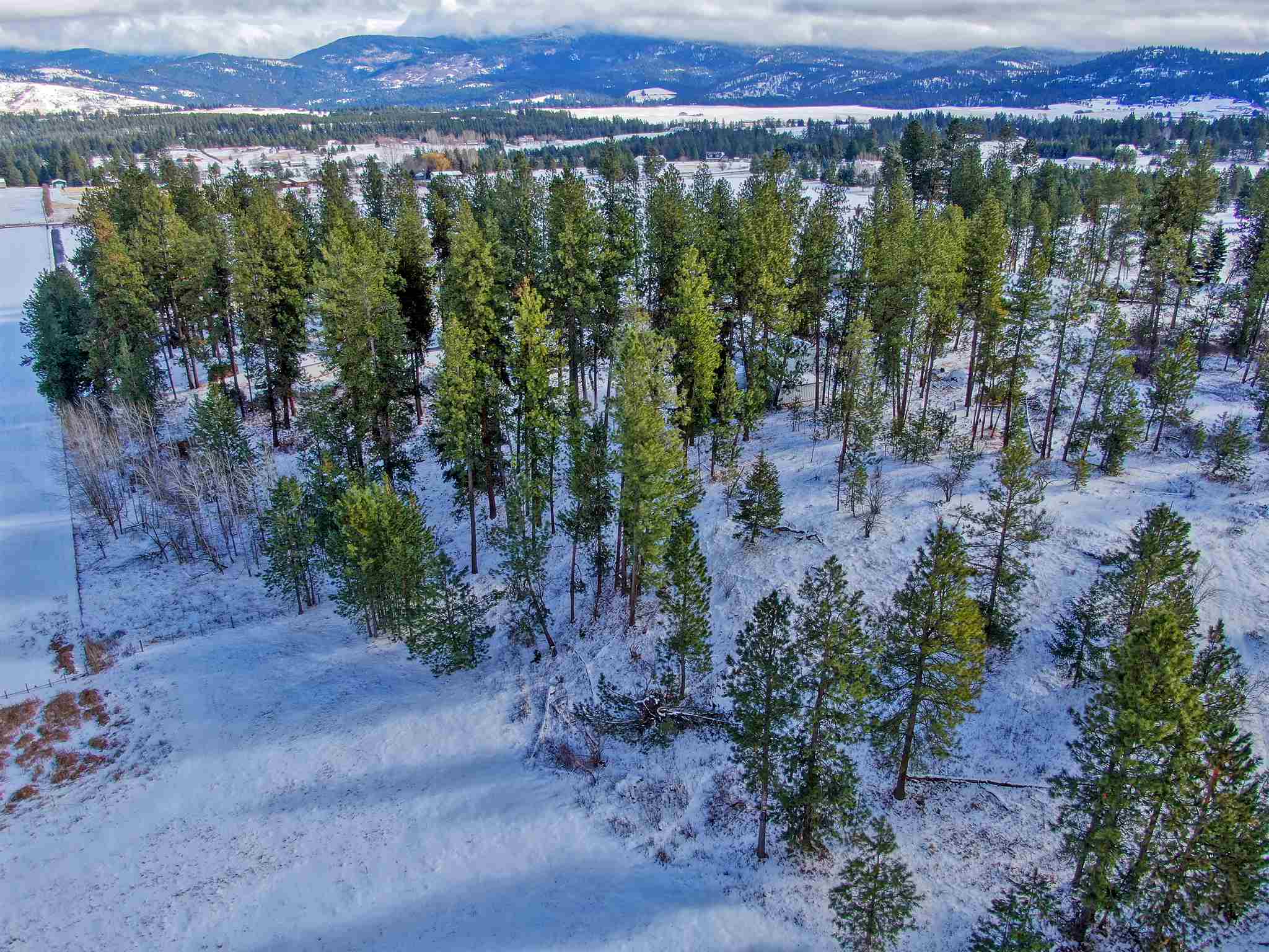 0 South Conklin Road Greenacres, WA 99016 - Photo 11 of 17