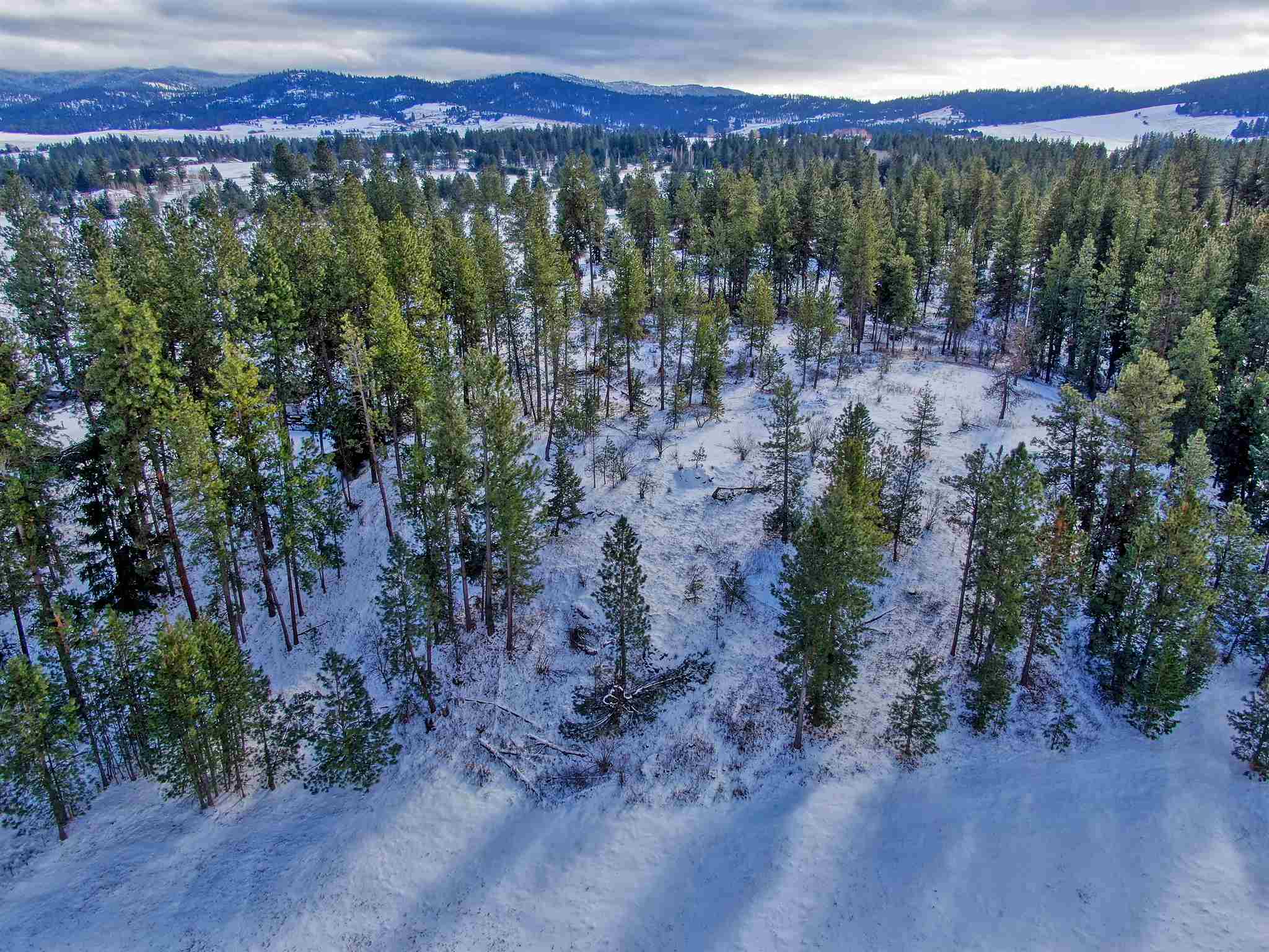 0 South Conklin Road Greenacres, WA 99016 - Photo 12 of 17