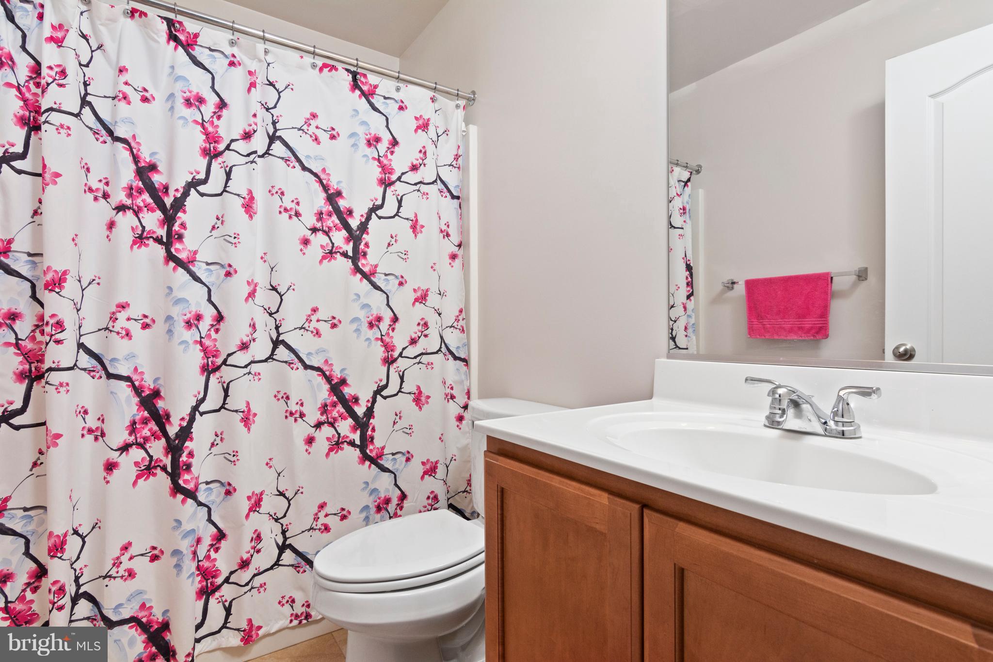 13202 Choptank Road Baltimore, MD 21220 - Photo 22 of 31