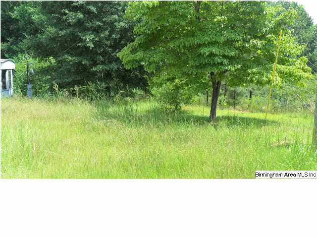 1386 Old Pineywoods Road, Unit 6 65 AC Jasper, AL 35504 - Photo 2 of 3