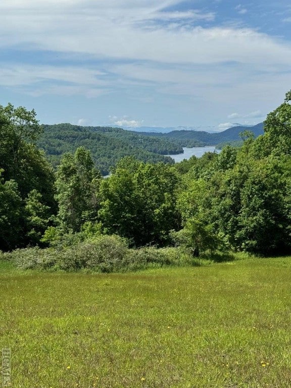 Lot 3 High Meadow Road Cullowhee, NC 28723 - Photo 11 of 20 Gallery Image 11