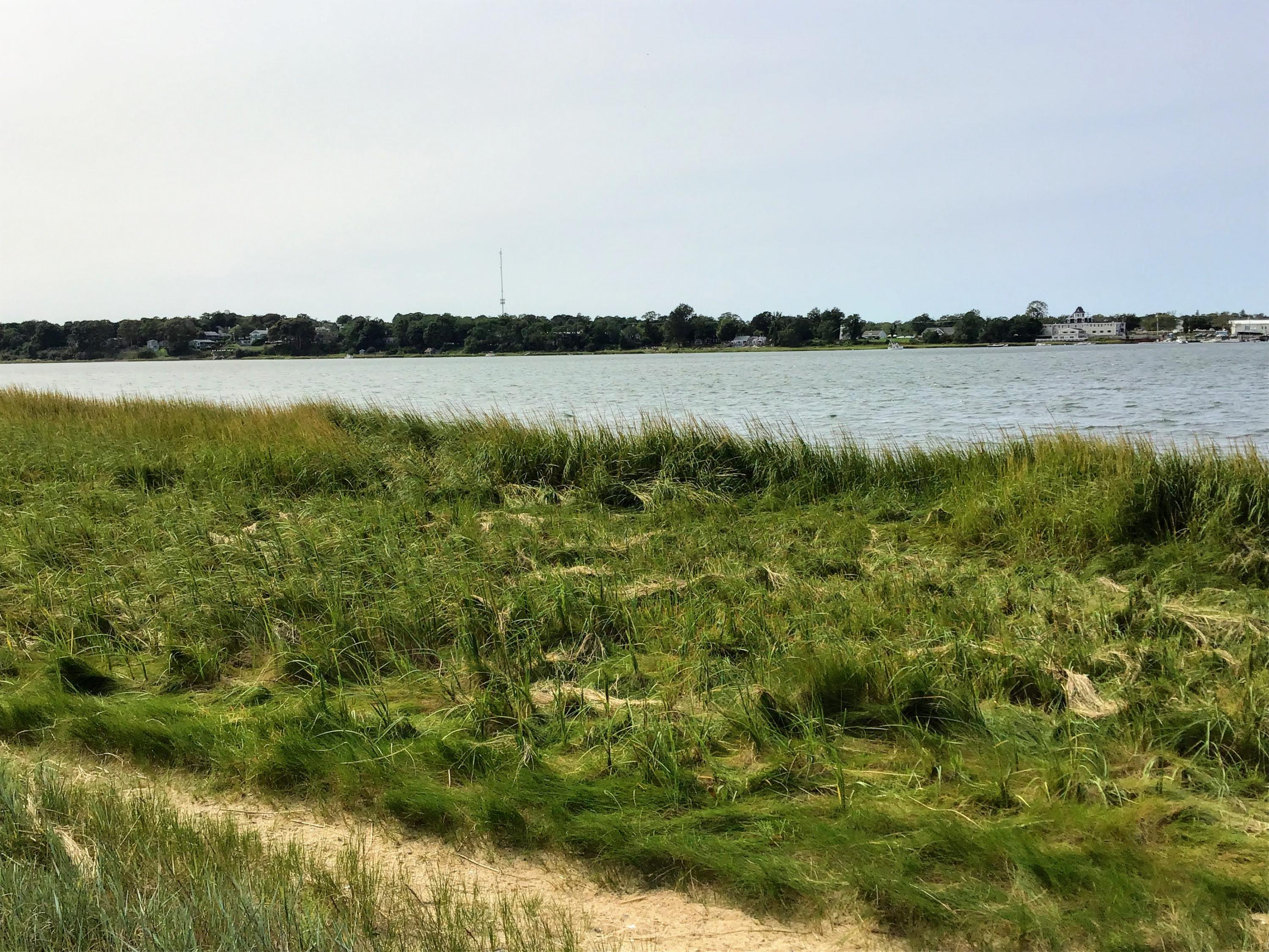 150 Tonset Road Orleans, MA 02653 - Photo 11 of 54 a view of a lake with houses in the back