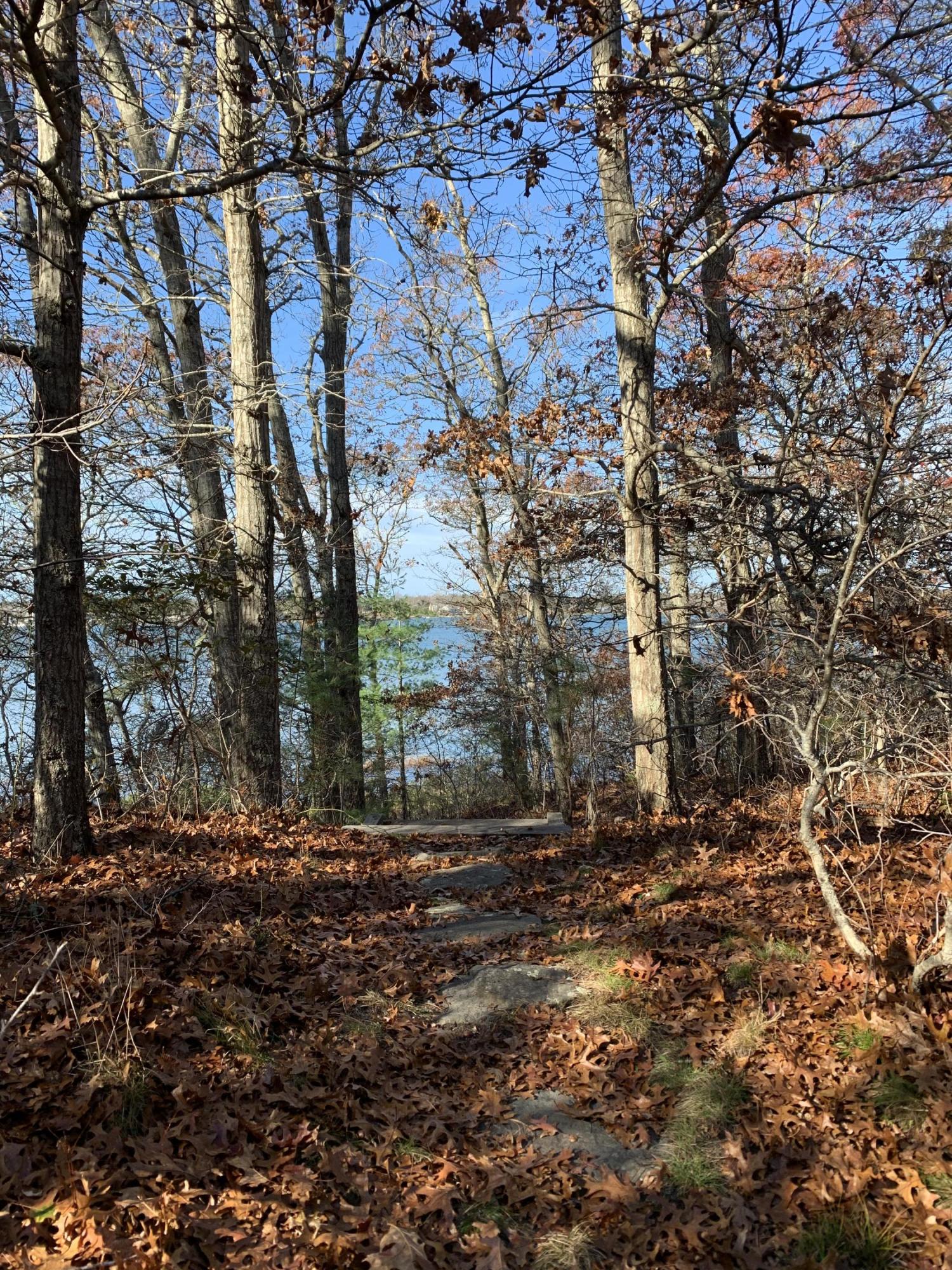 150 Tonset Road Orleans, MA 02653 - Photo 2 of 54 a view of a yard with a tree