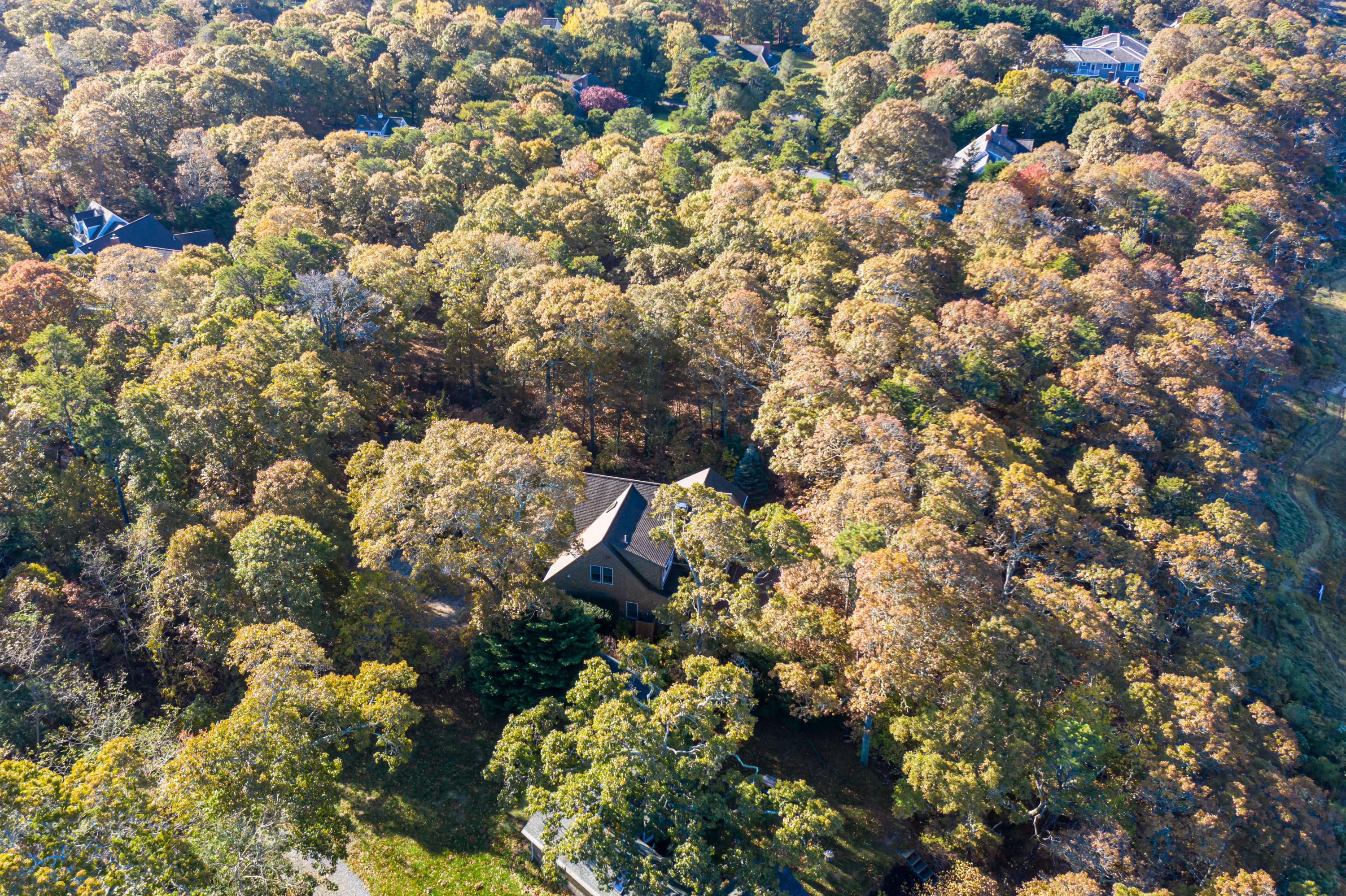 150 Tonset Road Orleans, MA 02653 - Photo 42 of 54 a view of a city