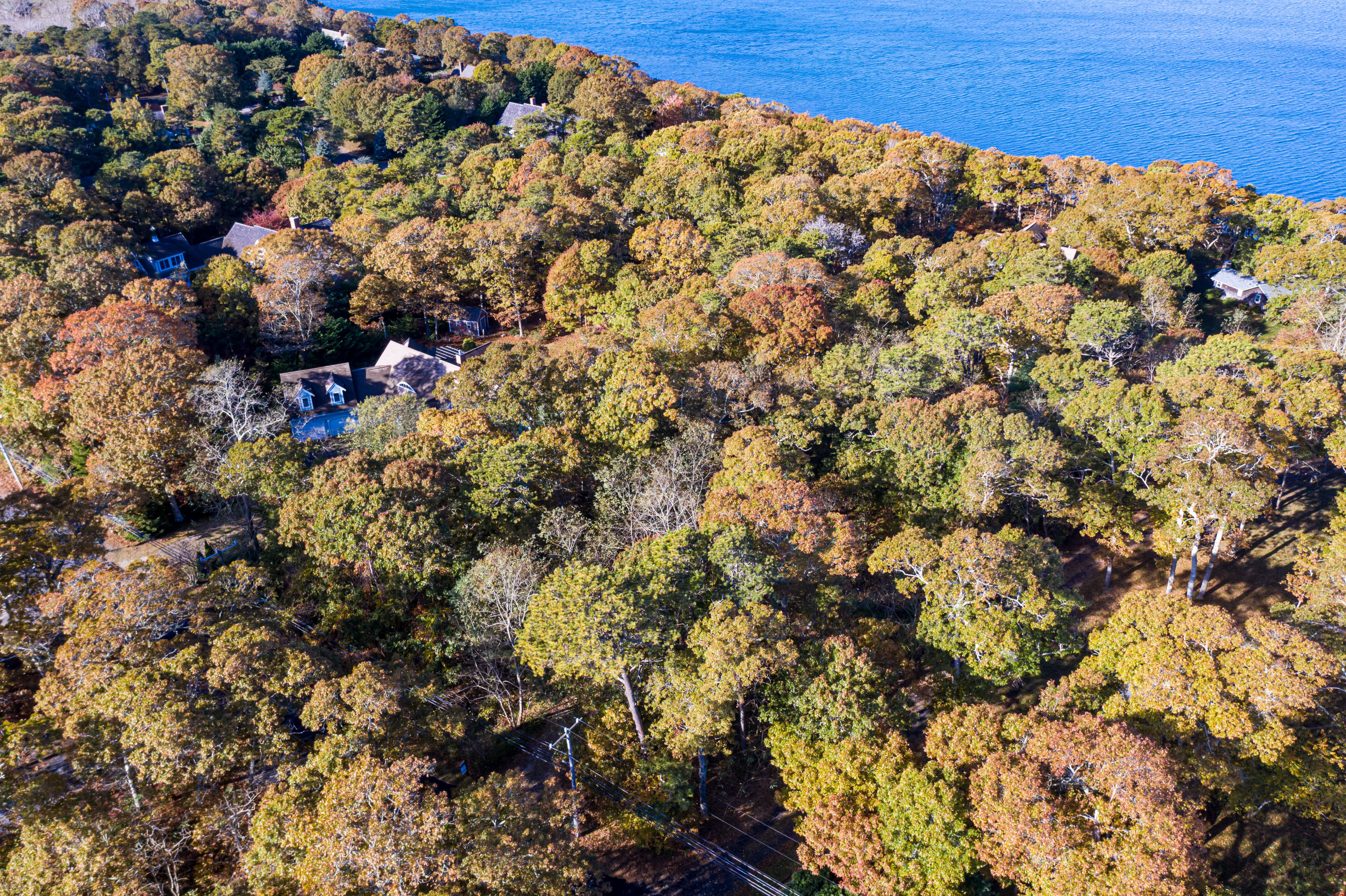 150 Tonset Road Orleans, MA 02653 - Photo 45 of 54 view of an outdoor space