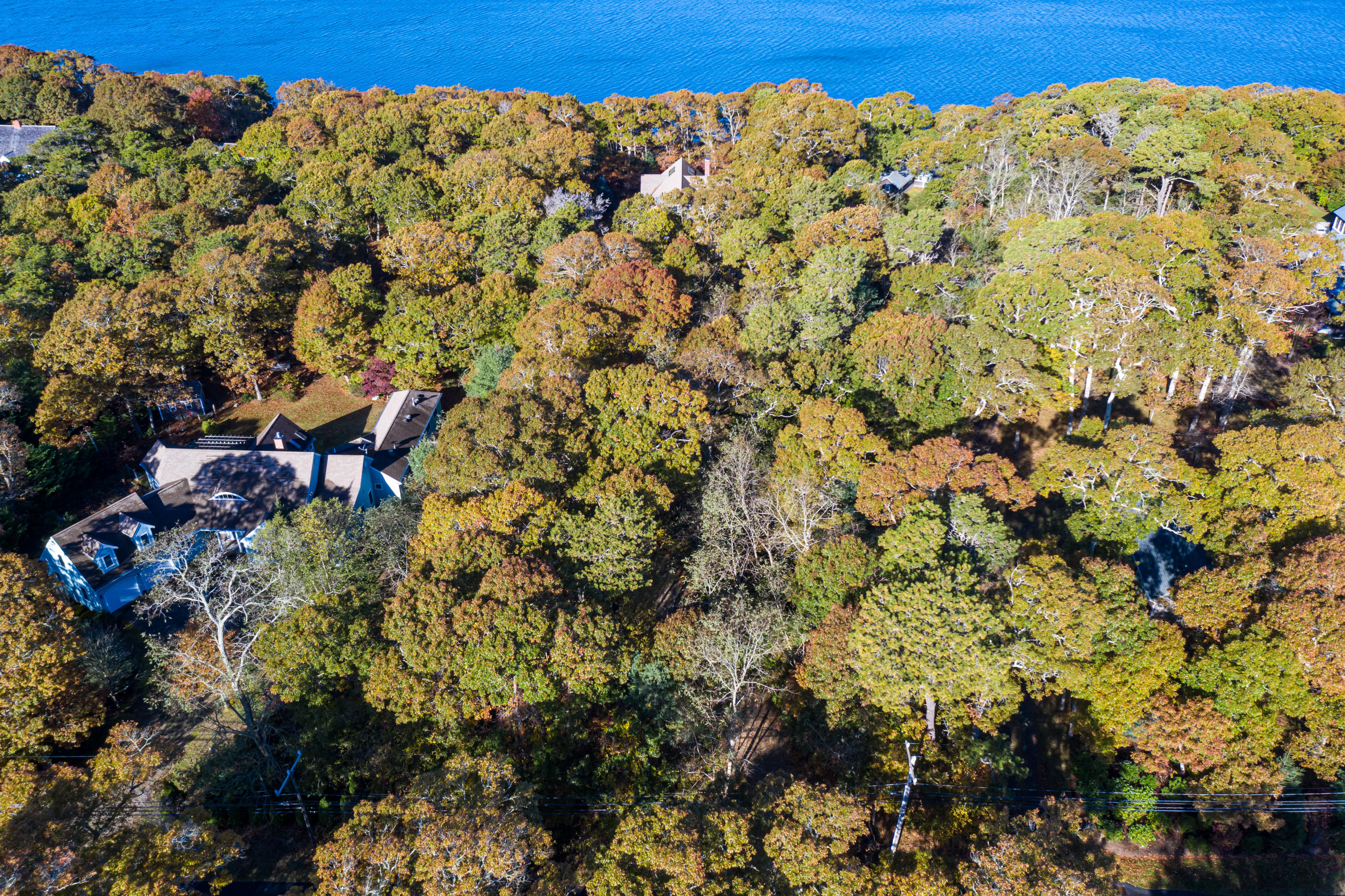 150 Tonset Road Orleans, MA 02653 - Photo 48 of 54 a view of a building with a tree