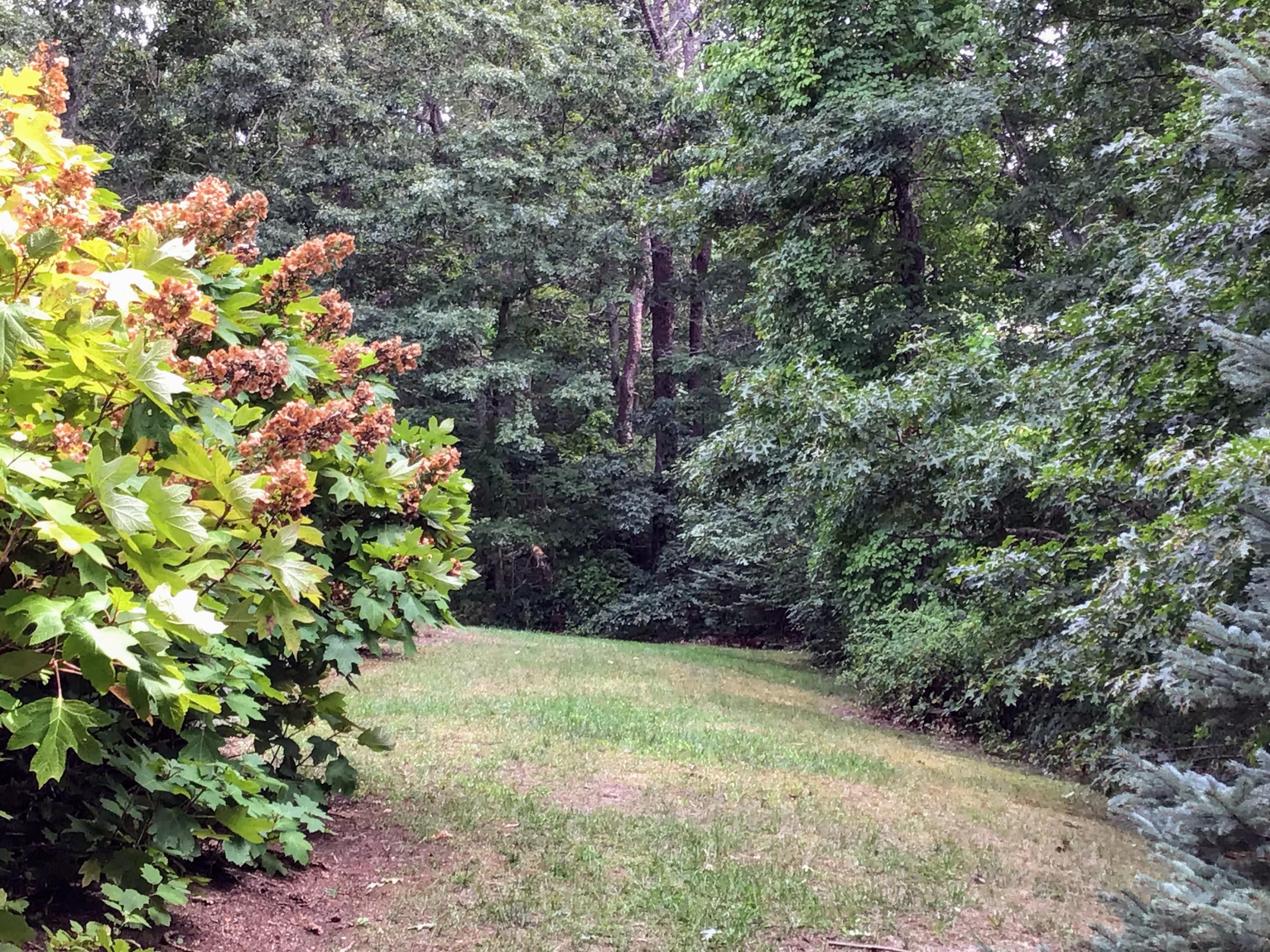 150 Tonset Road Orleans, MA 02653 - Photo 52 of 54 a backyard of a house with lots of green space and garden