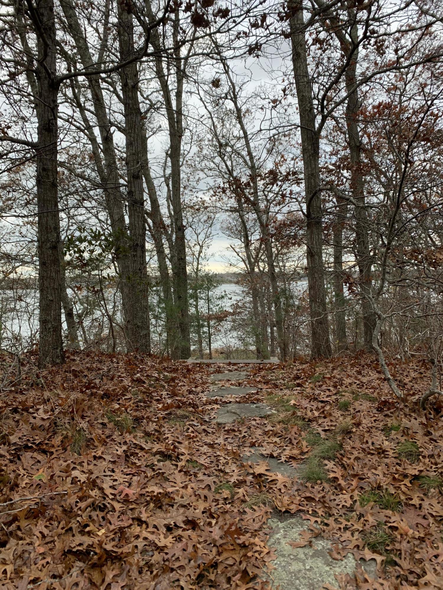150 Tonset Road Orleans, MA 02653 - Photo 53 of 54 a big yard with trees in the background