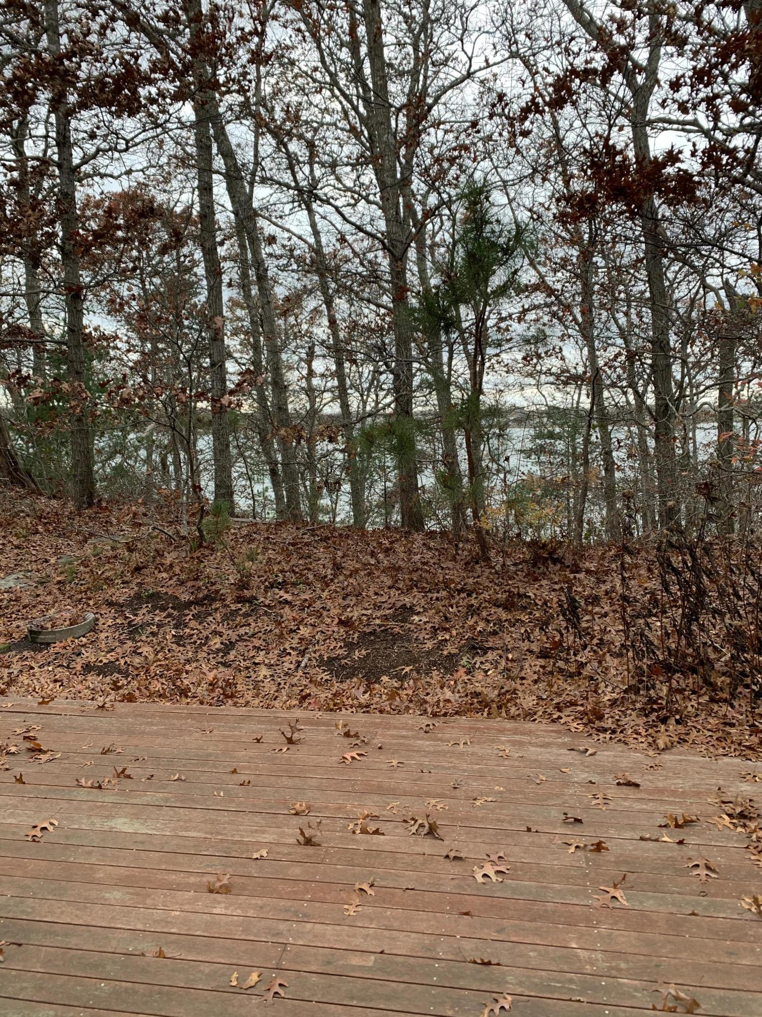 150 Tonset Road Orleans, MA 02653 - Photo 54 of 54 a view of outdoor space with trees