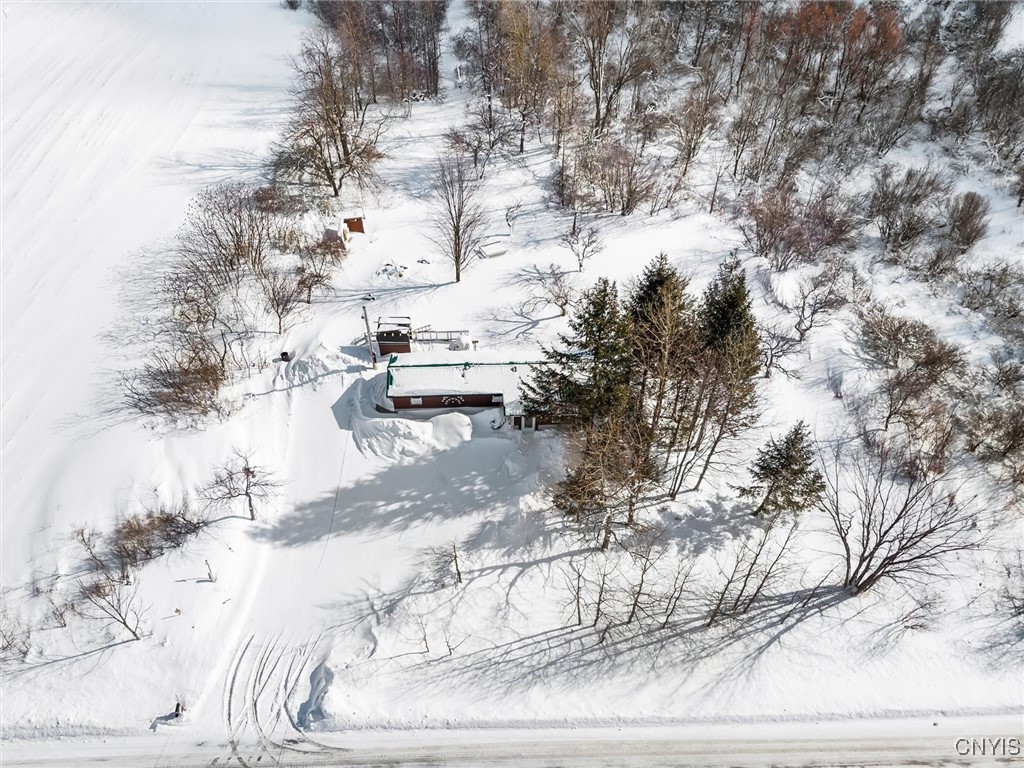 5306 Buyea Road Fenner, NY 13035 - Photo 2 of 28