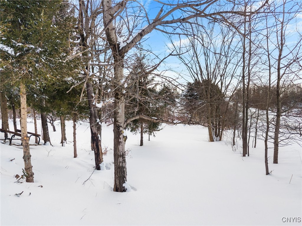 5306 Buyea Road Fenner, NY 13035 - Photo 26 of 28