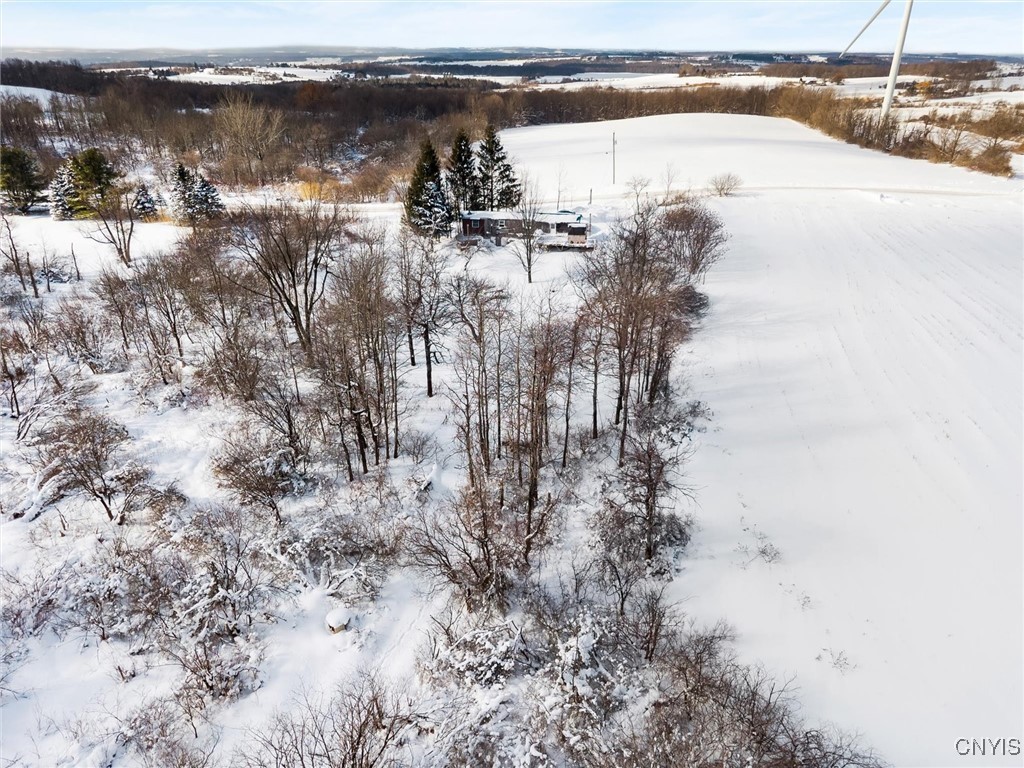 5306 Buyea Road Fenner, NY 13035 - Photo 6 of 28