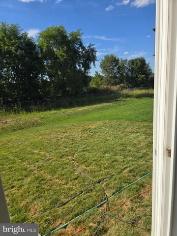 a view of a yard with a tree