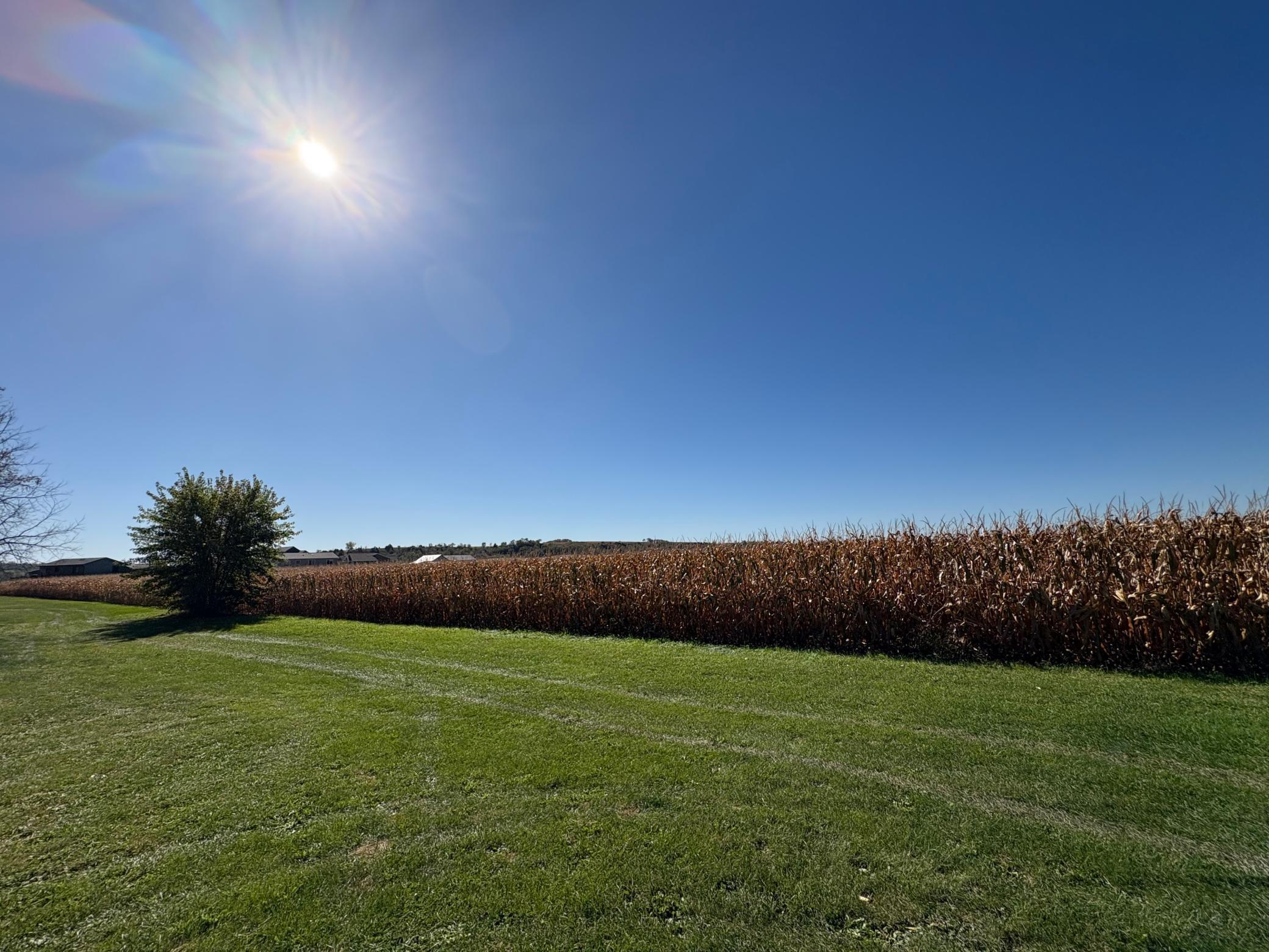 135 5th Avenue Northwest Elgin, MN 55932 - Photo 4 of 27