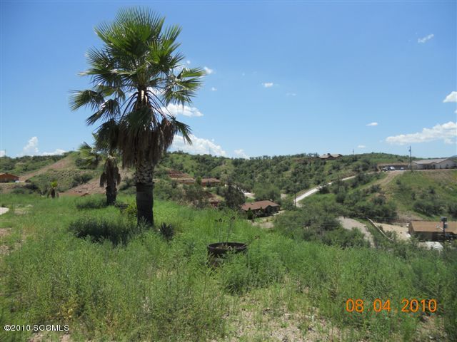 336 Nuevo Leon Court Rio Rico, AZ 85648 - Photo 7 of 7