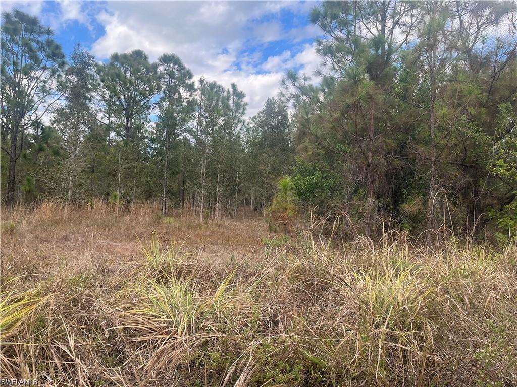 4481 68th Avenue Northeast Naples, FL 34120 - Photo 3 of 3 a view of a forest