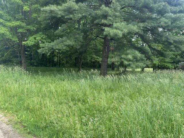 7816 West Vernon Road Lake, MI 48632 - Photo 4 of 7