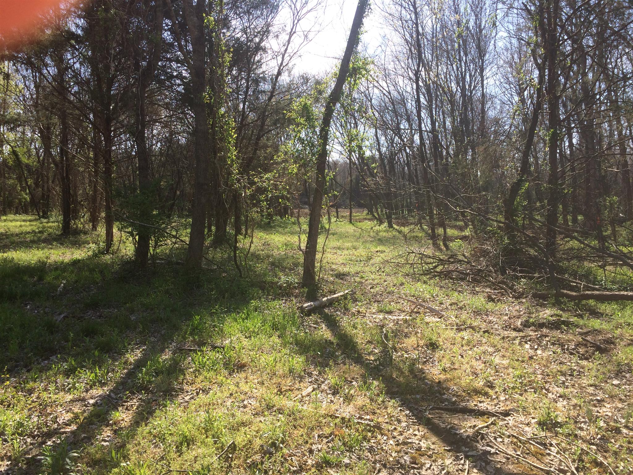 533 Bellwood Road Lebanon, TN 37087 - Photo 1 of 2 Gallery Image 1
