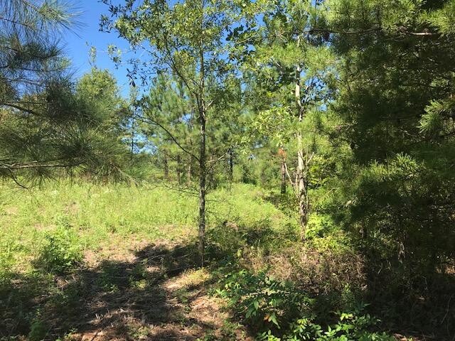 2 Athens Road Calhoun, TN 37309 - Photo 2 of 5 Gallery Image 2