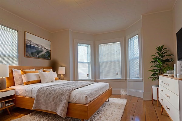 141 Brown Street, Unit 2F Waltham, MA 02453 - Photo 4 of 8 a bedroom with a large bed and a potted plant