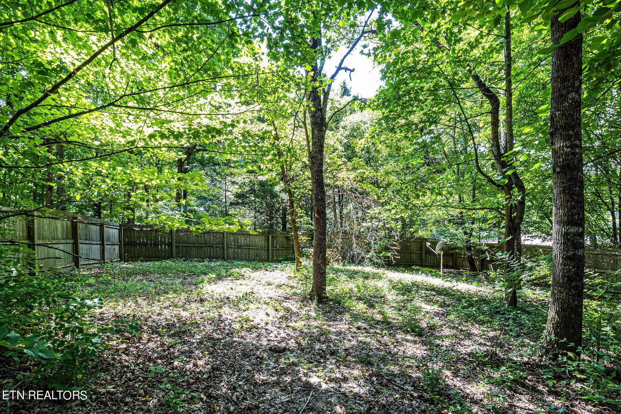 6424 Ridge Run Drive Knoxville, TN 37921 - Photo 32 of 33 Gallery Image 32