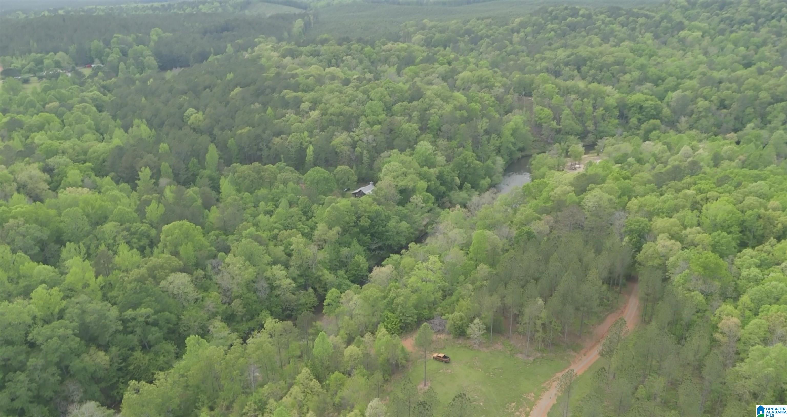 1051 Pate Road, Unit TRACT 5 AND 6 Cragford, AL 36255 - Photo 22 of 34