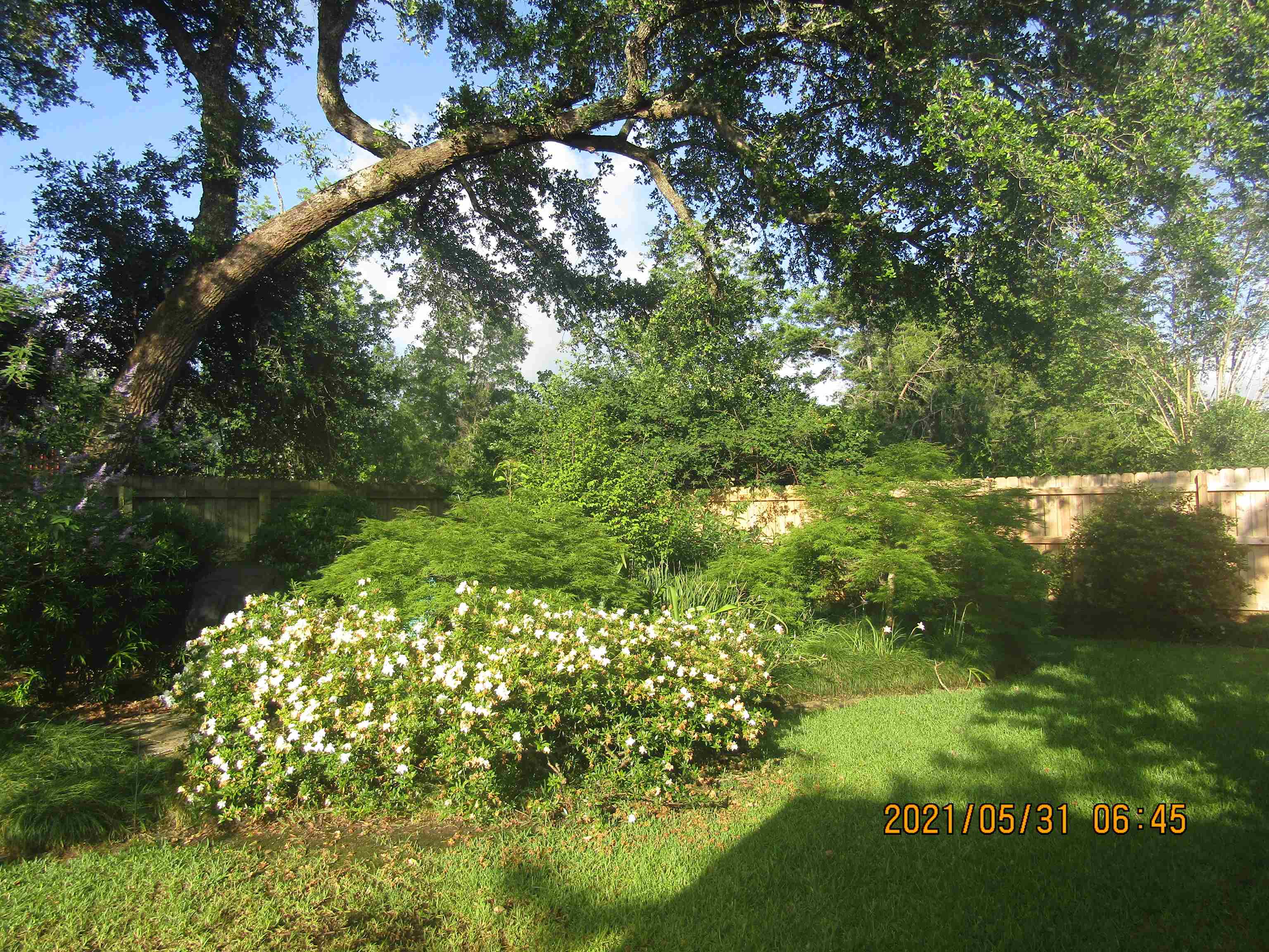 32657 Arbor Ridge Circle Lillian, AL 36549 - Photo 34 of 37
