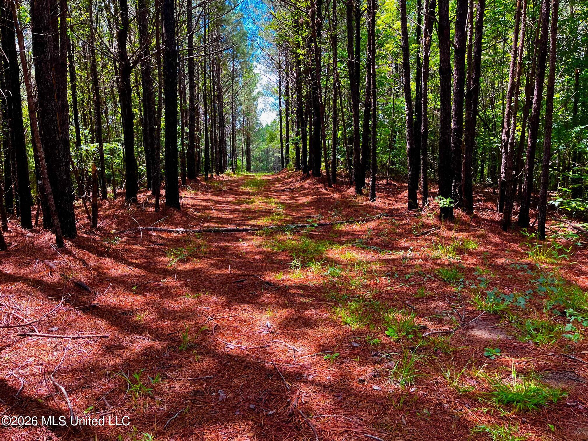 Arthur Drive Brookhaven, MS 39601 - Photo 13 of 20 ar12