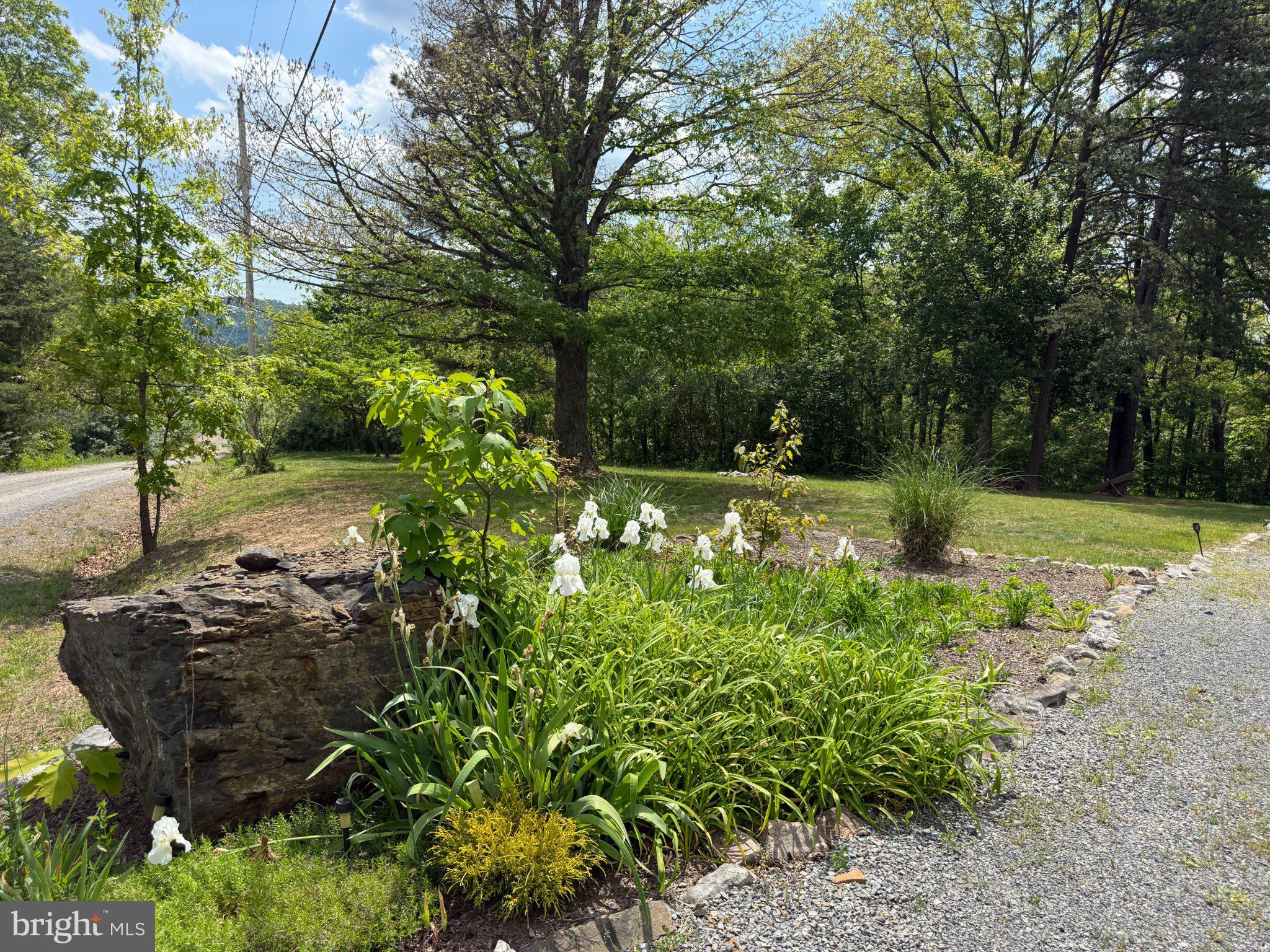 575 North River Highlands Road Delray, WV 26714 - Photo 7 of 8 So much room to entertain or simply enjoy daily!