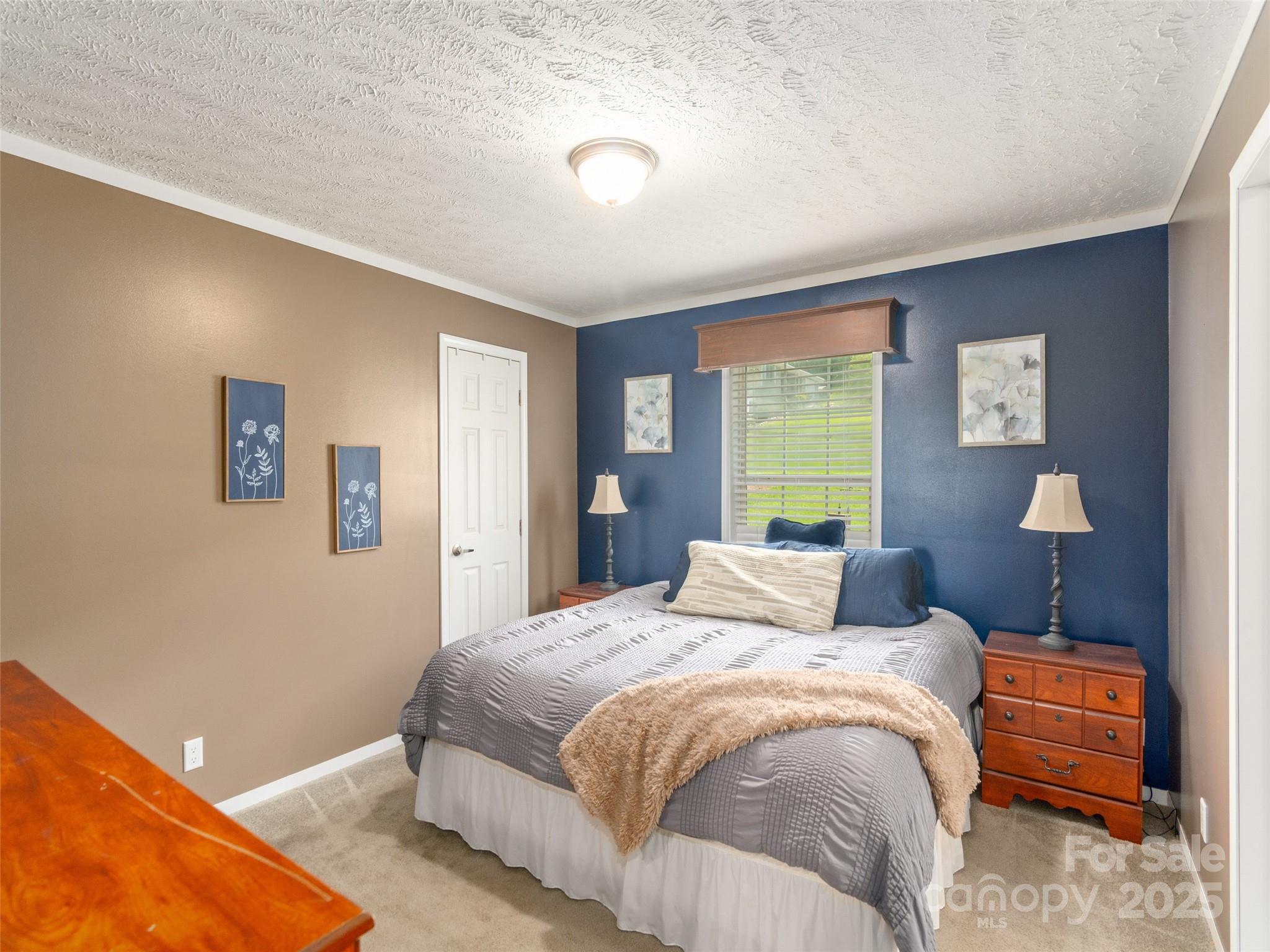 16 Sams Branch Road Candler, NC 28715 - Photo 12 of 28