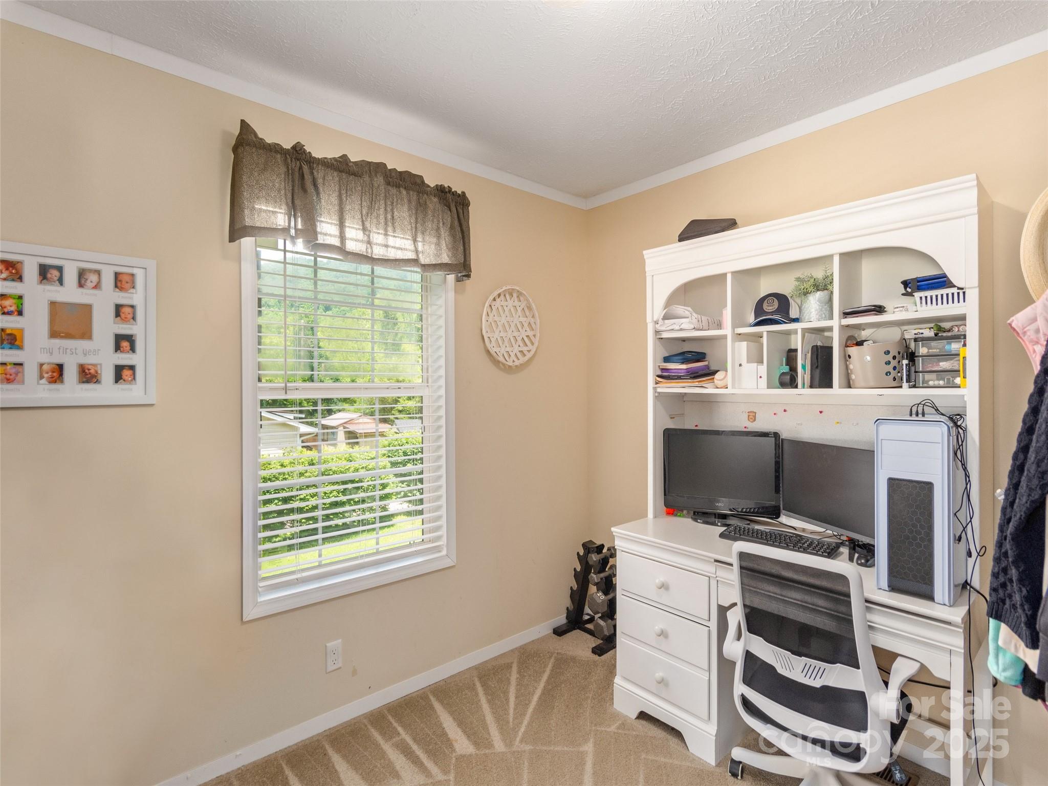 16 Sams Branch Road Candler, NC 28715 - Photo 18 of 28